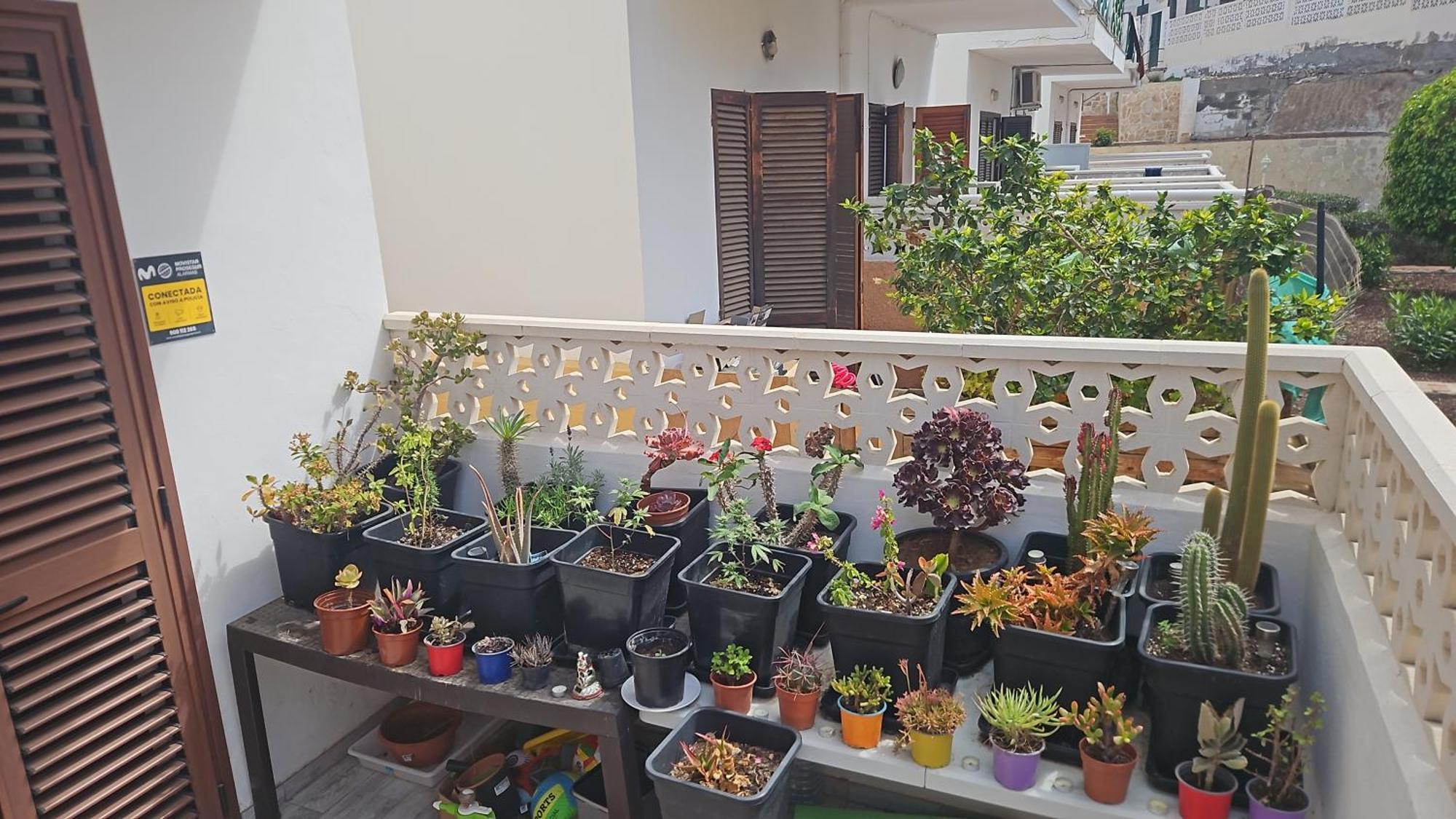 Renovated Villa In Las Americas Sea Coast Playa de las Americas (Tenerife) Quarto foto